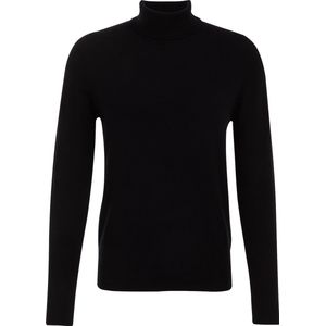 WE Fashion Heren fijngebreide coltrui