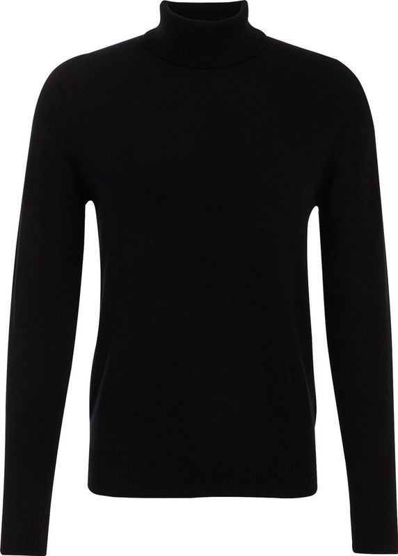 WE Fashion Heren fijngebreide coltrui