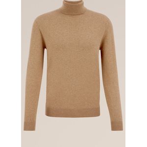 WE Fashion Heren fijngebreide coltrui