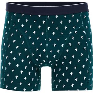 WE Fashion Heren boxershort met dessin
