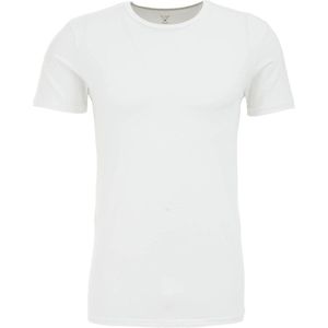 Van Gils - Heren T-shirt - Regular Fit - Katoenmix - Ronde Hals - Korte Mouwen