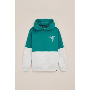 WE Fashion Jongens hoodie met clourblock