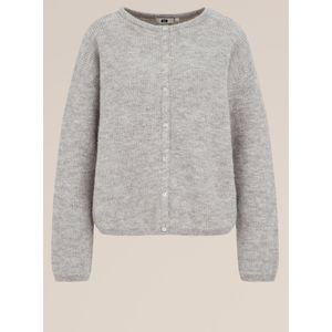 WE Fashion - Gebreid Vest - Wolmix - Regular Fit