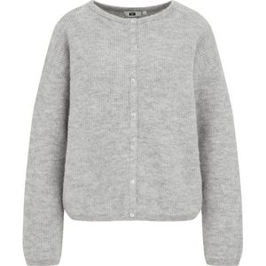 WE Fashion - Gebreid Vest - Wolmix - Regular Fit