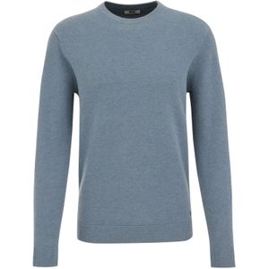 WE Fashion - Slim Fit - Trui - Lichtblauw - Katoen