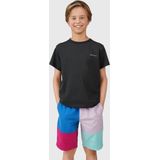 Brunotti - Dudsey - Zwembroek - Orchid - Regular Fit