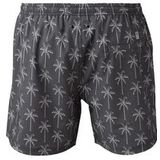 Brunotti Darmin Swimshorts