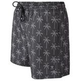 Brunotti Darmin Swimshorts