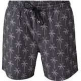 Brunotti Darmin Swimshorts