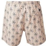 Brunotti Darmin Swimshorts