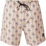 Brunotti Darmin Swimshorts