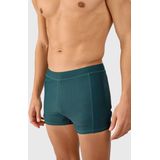 Ceceba - Slips - Donkergroen - 2-pack