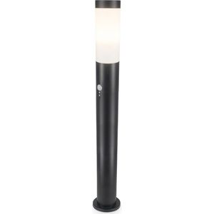 HOFTRONIC - Dally L - Staande buitenlamp met bewegingssensor en schemerschakelaar 110cm - E27 Sokkellamp Zwart - IP44 Waterdicht - Tuinverlichting - Padverlichting - Tuinlantaarn - Staande buitenlamp