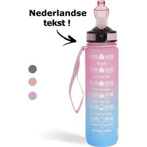 LaCardia - Nederlandse Motivatie Waterfles - Roze Blauw - Drinkfles met Rietje - 1 Liter
