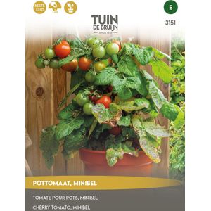 Tuin de Bruijn® zaden - Tomaat - Pottomaat Minibel - Zeer hoge opbrengst - Eenvoudige teelt