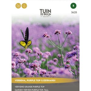 Tuin de Bruijn® zaden - Verbena Purple Top (IJzerhard)