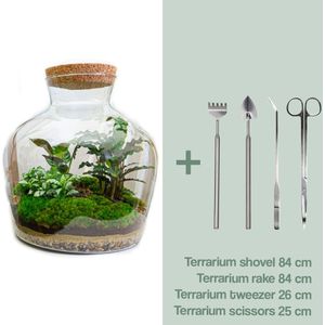 Relaxdays mini kweekkas, set van 2, voor vensterbank, plantenkas binnen, glas en MDF, kruiden, bloemen, 2 groottes, wit