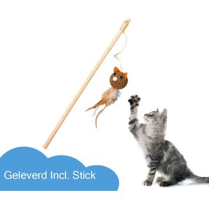 Katten speeltjes Catnip Katten Speelgoed Kattenspeeltjes Katten Hengel Bal Met Catnip – Bruin