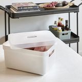 Opbergboxen/opbergmanden wit van 5 liter kunststof met transparante deksel 25 x 18 x 12 cm