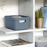 Opbergboxen/opbergmanden blauw van 5 liter kunststof met transparante deksel 25 x 18 x 12 cm