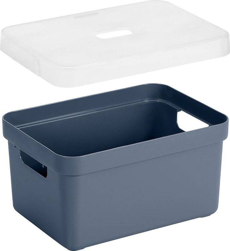 Opbergboxen/opbergmanden blauw van 5 liter kunststof met transparante deksel 25 x 18 x 12 cm