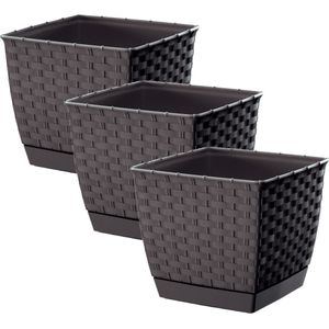 Prosperplast Plantenpot/bloempot - 3x - rotan kunststof - 14.5 x 14.5 cm - bruin