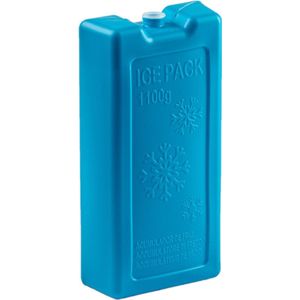 1100 grams koelelementen 22 x 11.5 x 5 cm blauw plastic