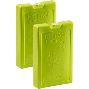 4x stuks 1000 grams koelelementen 22 x 14.5 x 3.5 cm groen plastic