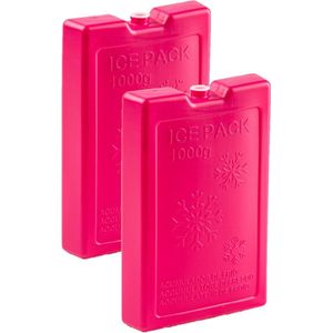 2x stuks 1000 grams koelelementen 22 x 14.5 x 3.5 cm roze plastic