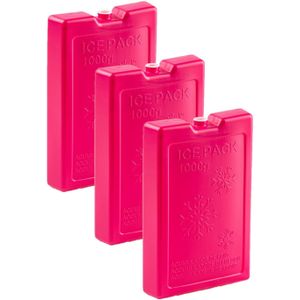 6x stuks 1000 grams koelelementen 22 x 14.5 x 3.5 cm roze plastic