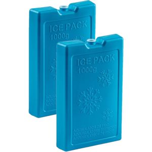 2x stuks 1000 grams koelelementen 22 x 14.5 x 3.5 cm blauw plastic