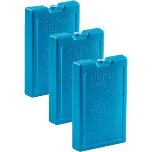 6x stuks 1000 grams koelelementen 22 x 14.5 x 3.5 cm blauw plastic