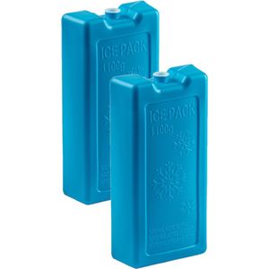 2x stuks 1100 grams koelelementen 22 x 11.5 x 5 cm blauw plastic