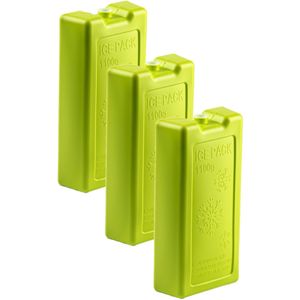 6x stuks 1100 grams koelelementen 22 x 11.5 x 5 cm groen plastic