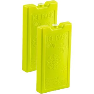 2x stuks 500 grams koelelementen 20 x 10.5 x 2.5 cm groen plastic