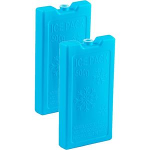 2x stuks 500 grams koelelementen 20 x 10.5 x 2.5 cm blauw plastic