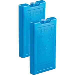 2x stuks 500 grams koelelementen 20 x 10.5 x 2.5 cm kobalt blauw kunststof met sneeuwvlokken print