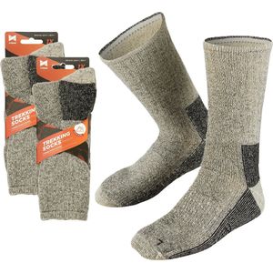 Apollo - Winter Sokken - Grijs - Set van 2 - Maat 42/45