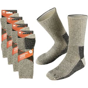 Apollo - Huissokken - Grijs - Merino Wol - Set van 4 Stuks