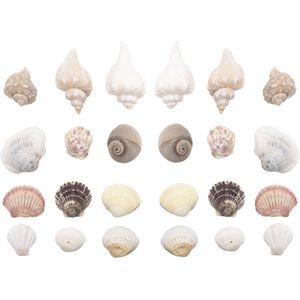 Decoratie/hobby schelpen mix 450 gram - Decoratieve schelpjes