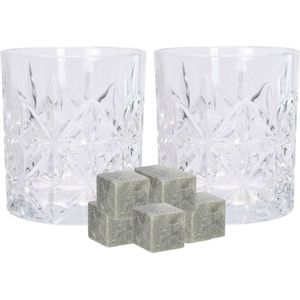 Atmos Fera whiskyglazen - set 4x stuks van 230 ml - en 9x whisky ijsblokstenen - Cadeau set