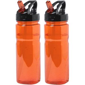 Waterfles/drinkfles/sportfles/bidon - 2x - oranje transparant - kunststof - 650 ml - met drinktuit
