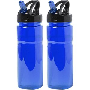 Waterfles/drinkfles/sportfles/bidon - 2x - blauw transparant - kunststof - 650 ml - met drinktuit