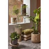 Mica Decorations Plant verhoger - 2x - hout - met metalen poten - H14 x D29 cm - Paulownia hou