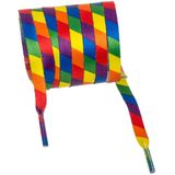 Schoenveters - 2x - Gay Pride/Regenboog Thema Kleuren - Polyester - 140 cm