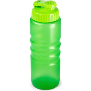 Plasticforte Drinkfles/waterfles/bidon - 650 ml - transparant/groen - kunststof