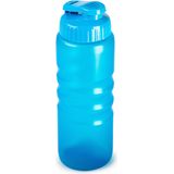 Plasticforte Drinkfles/waterfles/bidon - 650 ml - transparant/blauw - kunststof