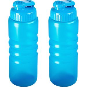Plasticforte Drinkfles/Waterfles/Bidon - 2x Stuks - 650 ml - Transparant/Blauw - Kunststof