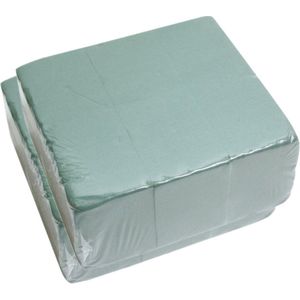 HBX Natural Living steekschuim/oase - set 6x st - groen - L20 x B10 x H7,5 cm- rechthoekig