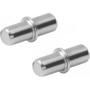 AMIG Kastplankdragers/Steunen - 16x Stuks - Metaal - Zilver - D5 X L16 Mm - Kledingkast Pinnetjes